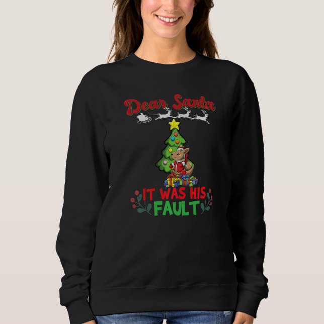 Dear Santa It Was His Fault Siblings Matching Xmas Sweatshirt (Vorderseite)
