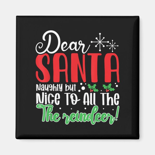 Dear Santa Naughty But Nice To All The Reindeer! F Magnet (Vorne)