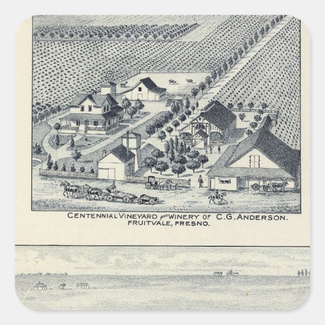 Deardorff und hundertjährige Weinberge, Quadratischer Aufkleber (Vorderseite)