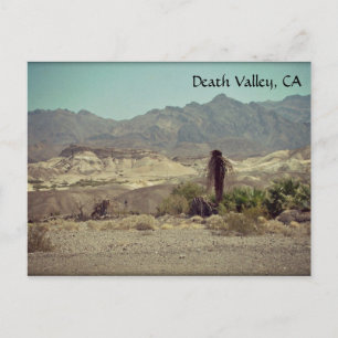 Death Valley, CA Postcard Postkarte