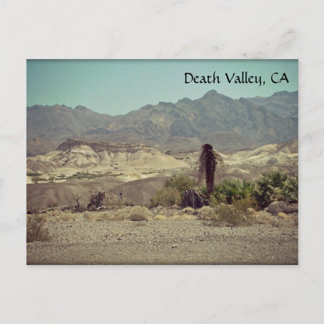 Death Valley, CA Postcard Postkarte (Vorderseite)