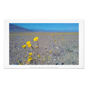 "Death Valley Super Bloom", Natur Fotodruck