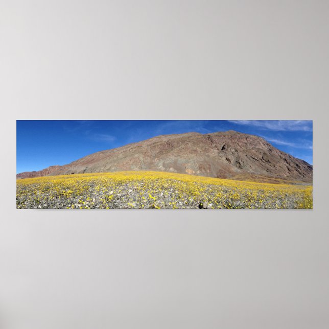 Death Valley Super-Bloom Poster (Vorne)