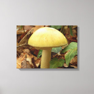 Deathcap Mushroom Canvas Print Leinwanddruck
