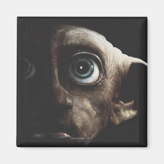 Deathly Hallows - Dobby Magnet