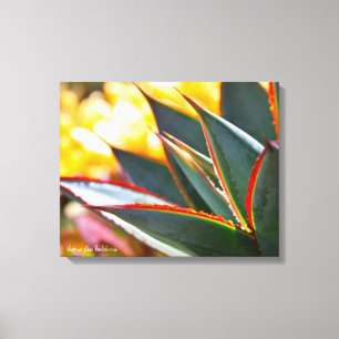 Debra-Lee Baldwin Foto des Agaven-blauen Glühens Leinwanddruck