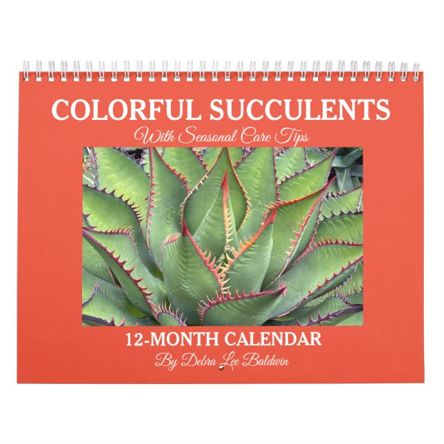 Debra Lee Baldwin Kalender (Titelbild)