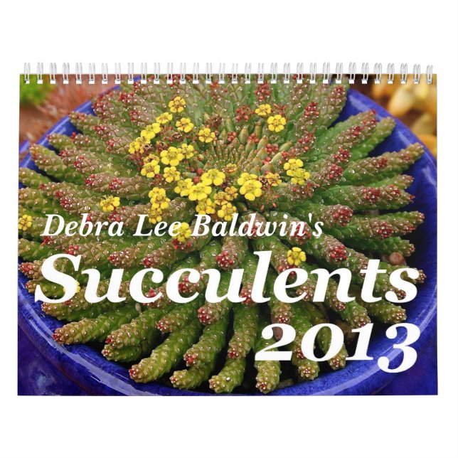Debra-Lee Baldwins Kalender Succulents-2013 (Titelbild)
