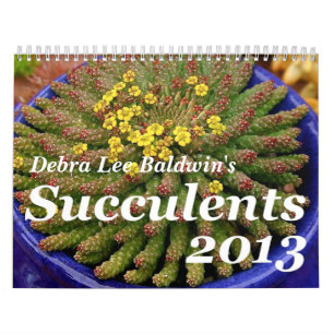 Debra-Lee Baldwins Kalender Succulents-2013