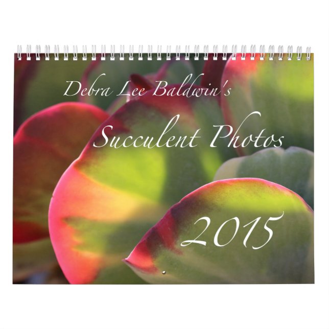 Debra-Lee Baldwins saftiger Kalender Foto-2015 (Titelbild)