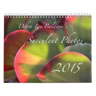 Debra-Lee Baldwins saftiger Kalender Foto-2015