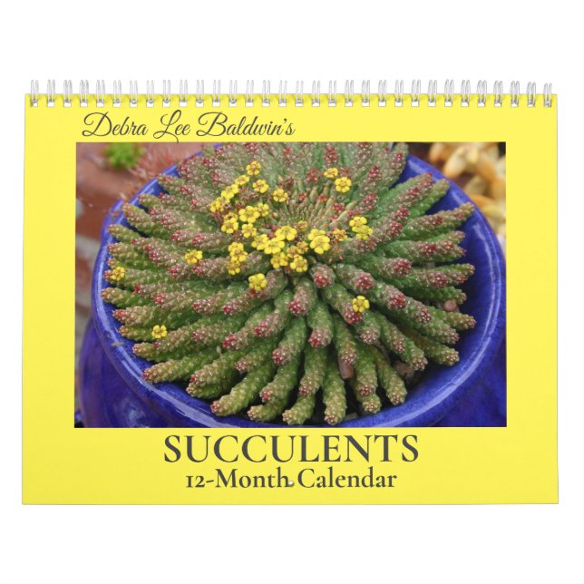 Debra Lee Baldwins Sukkulente-2 12 Monate Kalender (Titelbild)