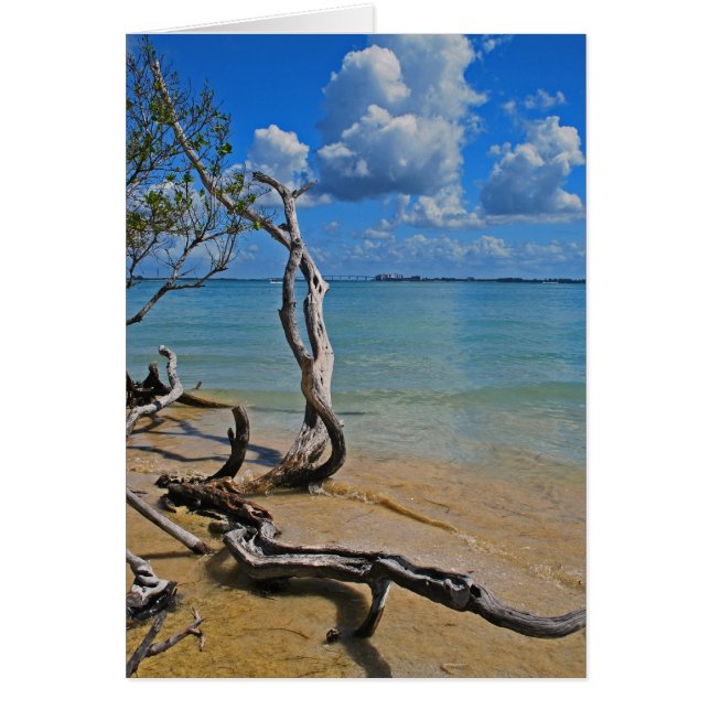 Debris to Blind Pass (Vorne)