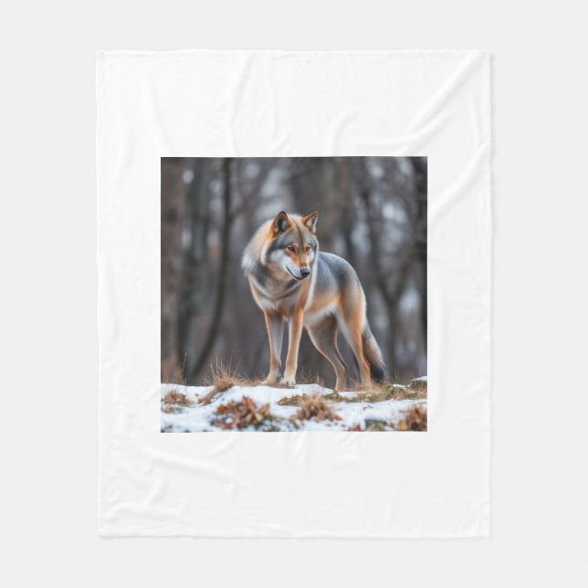 Decke  (Vorderseite)