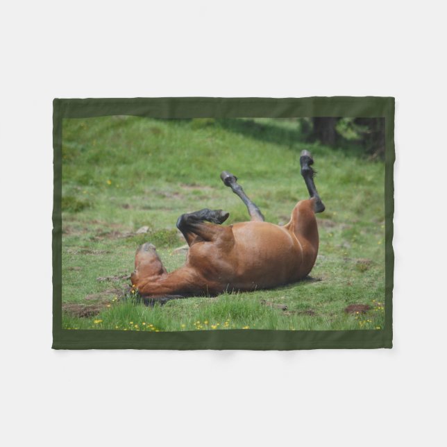 Decke _ italy _ aveto Naturpark _ Pferd (Vorderseite (Horizontal))