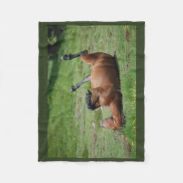 Decke _ italy _ aveto Naturpark _ Pferd