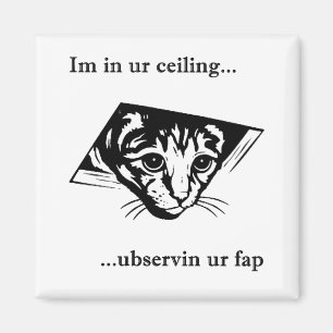 Decken-Katze ubservin u… Magnet