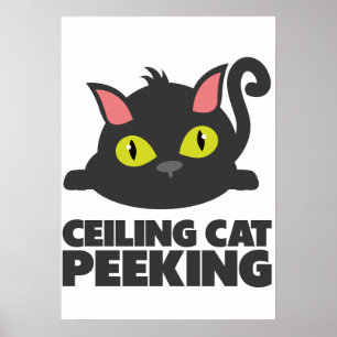Deckenkatze-Lustige-Internet-Meme-Kunst Poster