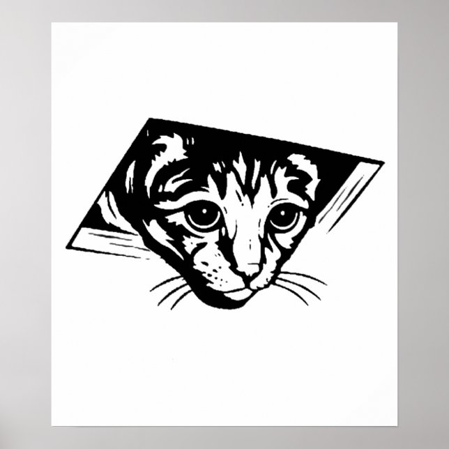 Deckenkatze Poster (Vorne)