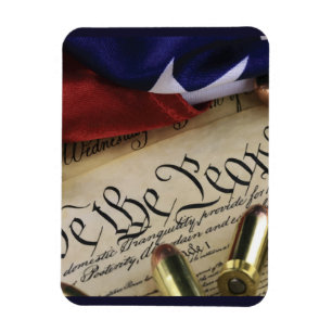 Declaration of Independence  Magnet