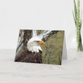 Decorah North Eagles: Der Bibermond Karte