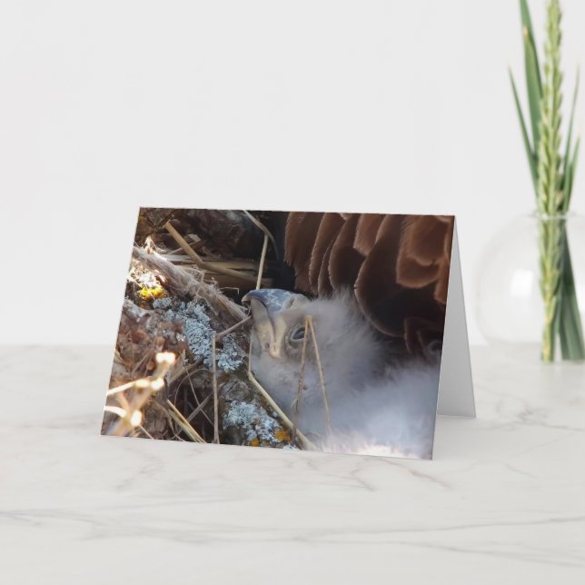 Decorah North Eagles: Der rosa Mond Karte (Vorderseite)