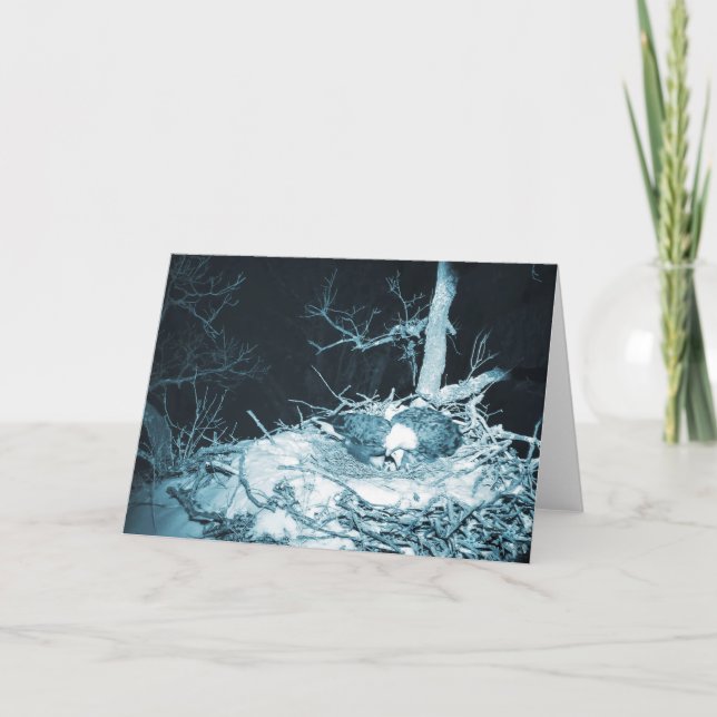 Decorah North Eagles: Der Schneemond Karte (Vorderseite)