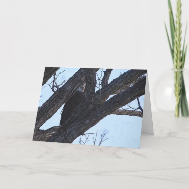 Decorah North Eagles: Der Wolf Moon Karte (Vorderseite)