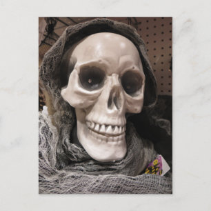 Decorative Skeleton Postkarte