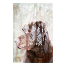 decorative wall art poster city view