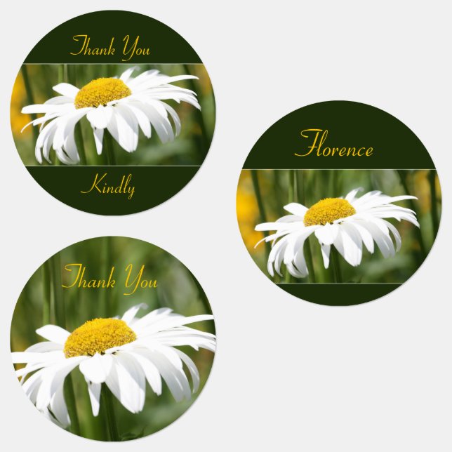 Decorative White Daisy Etiketten (Gruppe)