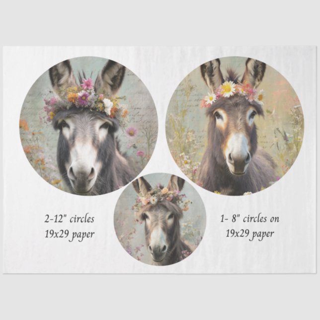 Decoupage 2-12" Circle & 8" Whimsical Donkey Trio Seidenpapier (Vorderseite)