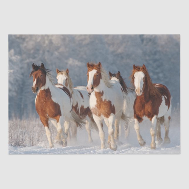 Decoupage 5 Pinto Galloping Schnee bedeckt Feld Seidenpapier (Vorderseite)