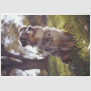 Decoupage Australian Shepherd Buddy Seidenpapier