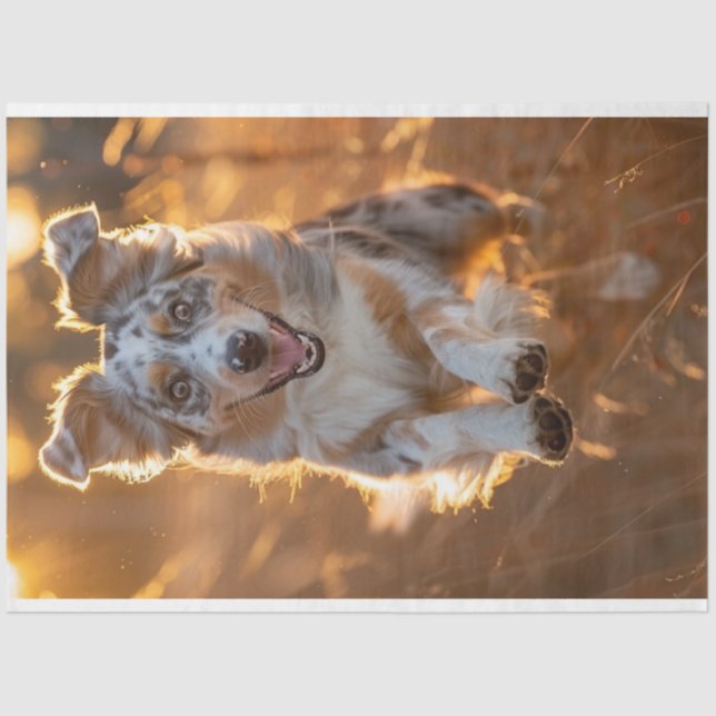 Decoupage Australian Shepherd Running Seidenpapier (Vorderseite)