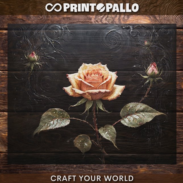 Decoupage - Ein Single rosa rosa Rosa auf schwarz  Seidenpapier (Von Creator hochgeladen)