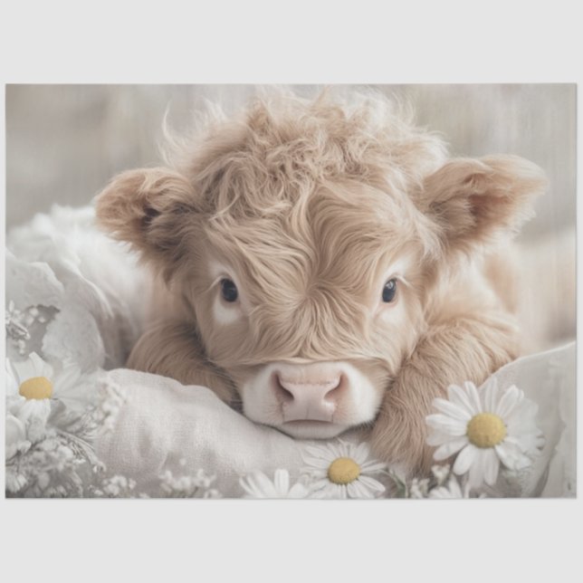 Decoupage Highland Calf White Daisies Seidenpapier (Vorderseite)