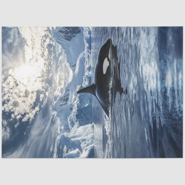 Decoupage Killer Whale Orca Icy Waters Seidenpapier (Vorderseite)