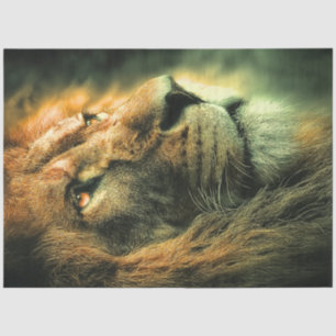 Decoupage Majestic Löwe Profil Goldenes Licht Seidenpapier
