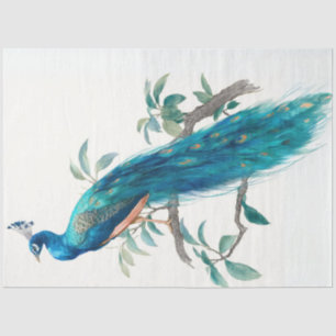 Decoupage Natures Crown Botanischer Pfau  Seidenpapier