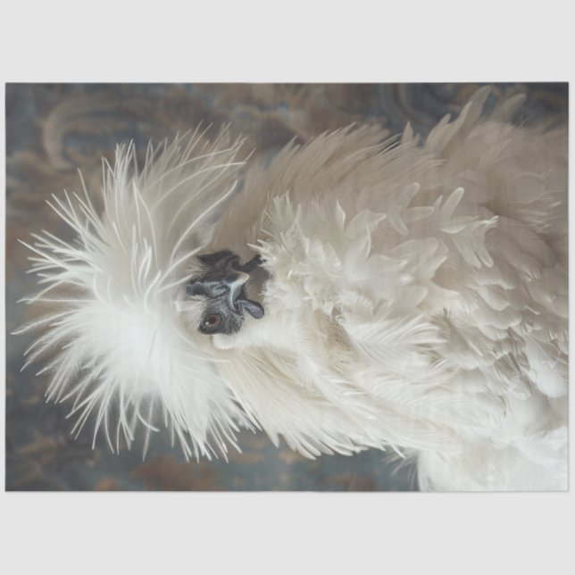 Decoupage Silkie Showgirl Chicken White Feathers Seidenpapier (Vorderseite)