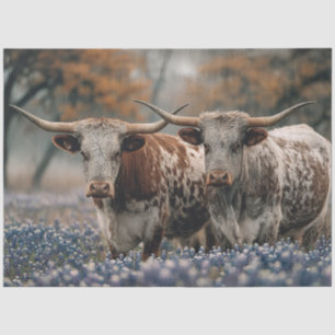 Decoupage Texas Longhorns Feld Bluebonnet Blumen Seidenpapier