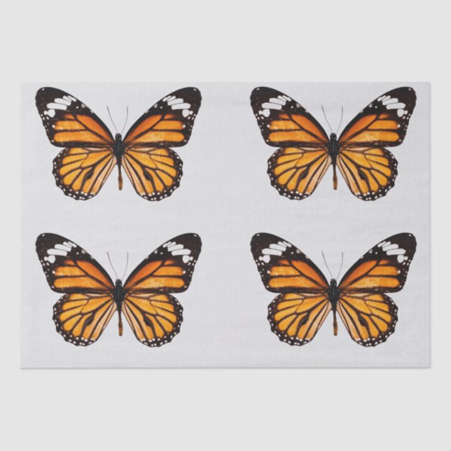 DECOUPAGE TISSUPAPIER : MONARCH-BUTTERFLY SEIDENPAPIER (Vorderseite)