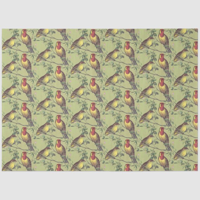 Decoupage Two Colorful Birds on Light Green Seidenpapier (Vorderseite)
