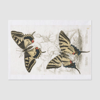 Decoupage Vintag Butterflys  Seidenpapier