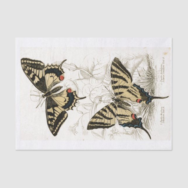 Decoupage Vintag Butterflys  Seidenpapier (Vorderseite)