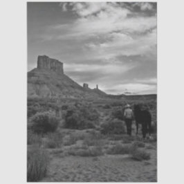 Decoupage Western Solitude Lisa Chappell Seidenpapier