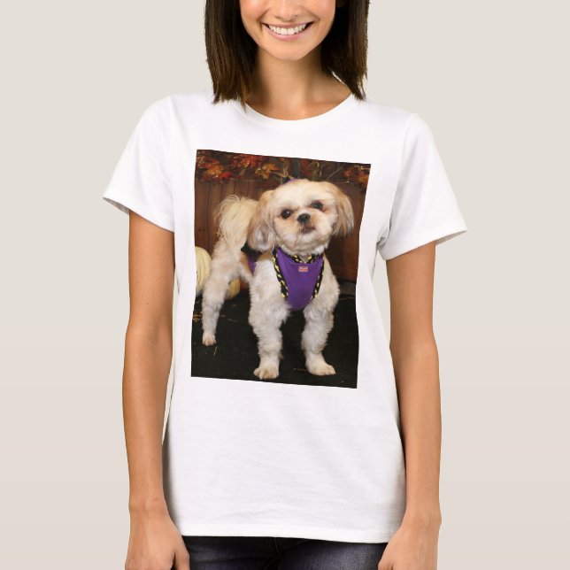 DeeDee - ShihTzu-Foto 3 T-Shirt (Vorderseite)