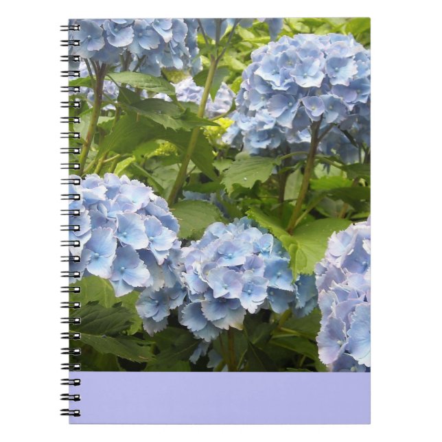 Deep Blue Hydrangeas Notizblock (Vorderseite)