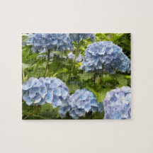 Deep Blue Hydrangeas